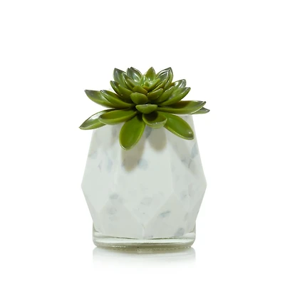 Faceted Succulent ScentPlug® Diffuser w/ Light