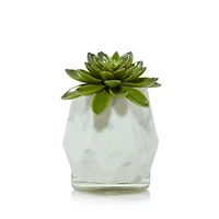 Faceted Succulent ScentPlug® Diffuser w/ Light