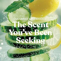 Cucumber Mint Cooler