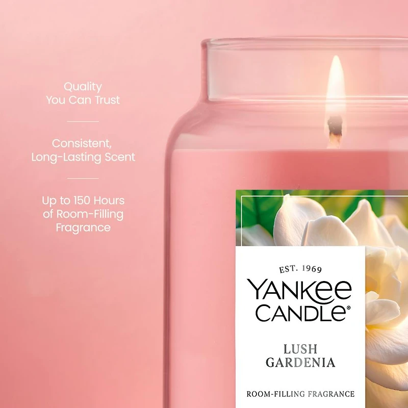 Lush Gardenia