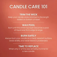 Pumpkin Cinnamon Swirl