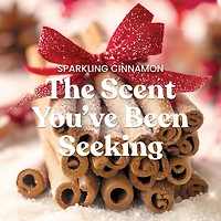 Sparkling Cinnamon