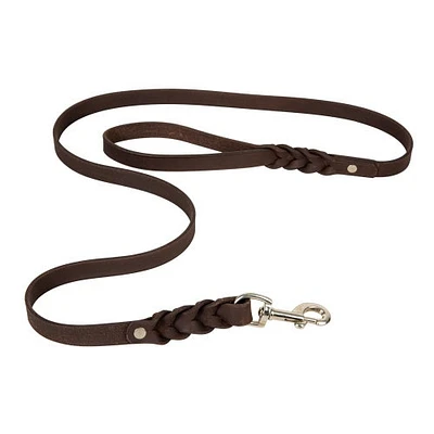 Adventurer Leather Dog Leash