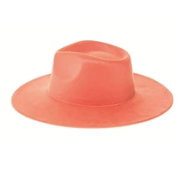 Vegan Suede Wide Brim Rancher Hat