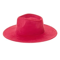 Vegan Suede Wide Brim Rancher Hat