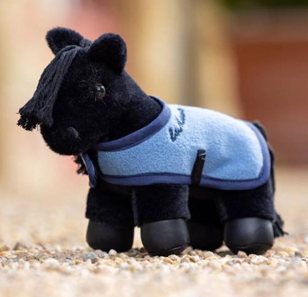 Tiny Pony - Skye