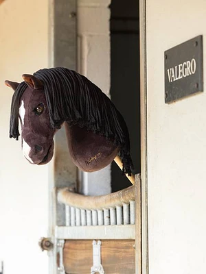 Hobby Horse - Valegro