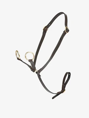 Toy Pony Martingale - Brown