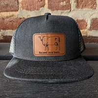 Raised in a Barn - Youth Hat