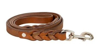 Explorer Leather Dog Leash