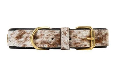 Chissum Dog Collar