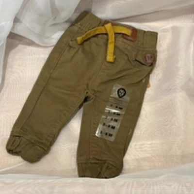 Pantaloon Jogger Pant Olive