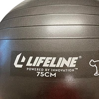 Lifeline cm Exercise Ball