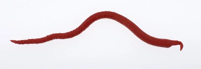 Berkley Gulp!® Saltwater Extruded Bloodworm Bait