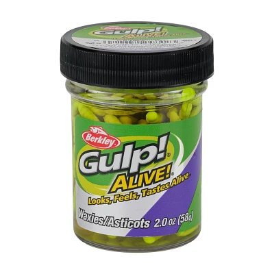 Berkley Gulp Alive 1/2 Waxies Bait Jar