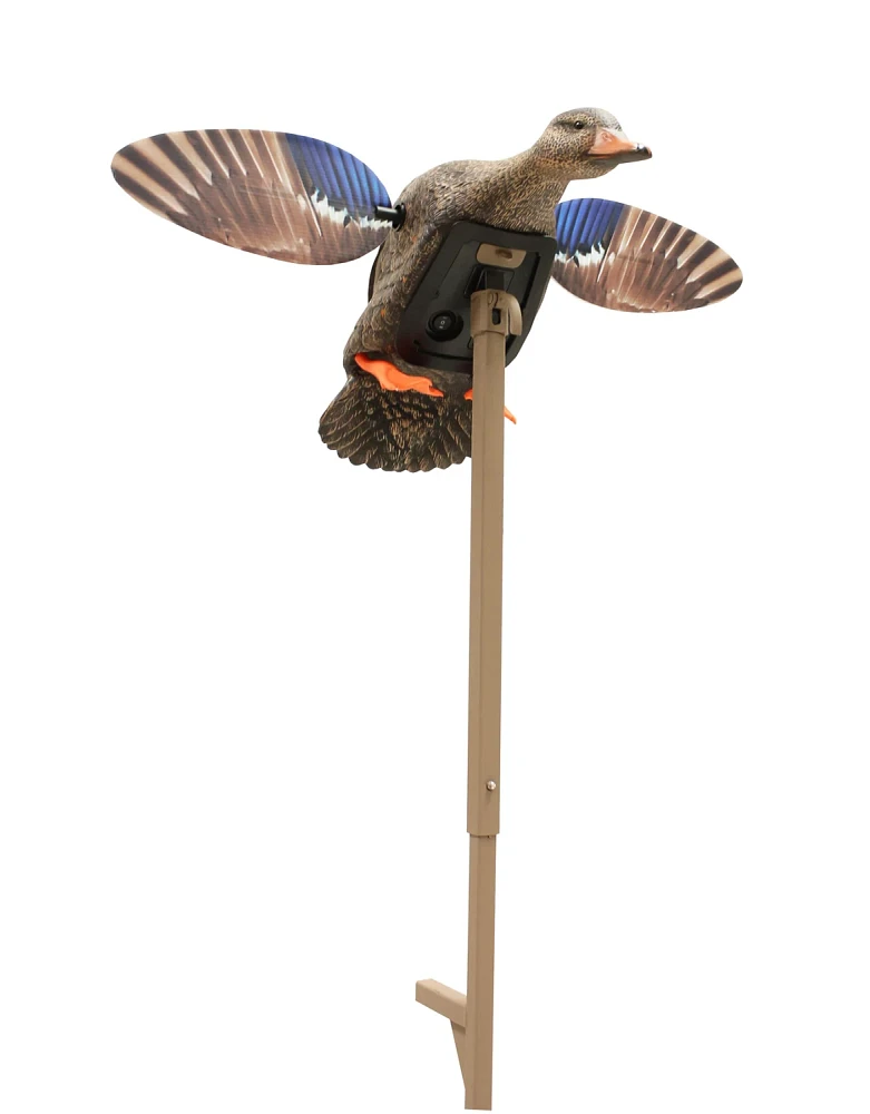 MOJO Outdoors Elite Series Mini Mallard Hen                                                                                     