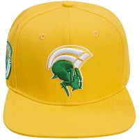 Pro Standard Norfolk State Spartans Evergreen Mascot Snapback Hat