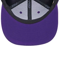 Pro Standard Prairie View AM Panthers Evergreen Prairie View Snapback Hat                                                       