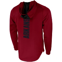 Nike Arkansas Razorbacks 2-Hit Performance Pullover Hoodie