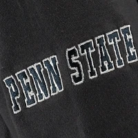 Youth Stadium Athletic Penn State Nittany Lions Big Logo Pullover Hoodie