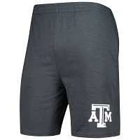 Concepts Sport / Texas AM Aggies Downfield T-Shirt  Shorts Set