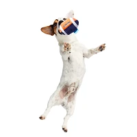 BARK Auburn Tigers Fetchin' Small Football Dog Toy                                                                              