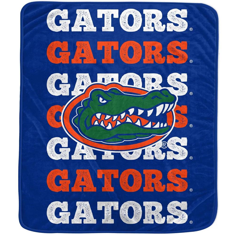 Pegasus Florida Gators 60'' x 70'' Logo Wordmark Plush Blanket                                                                  