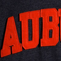 Pressbox Auburn Tigers Plus Size Two-Hit Canyon Long Sleeve T-Shirt                                                             