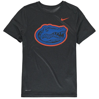 Youth Nike Florida Gators Legend Travel Performance T-Shirt