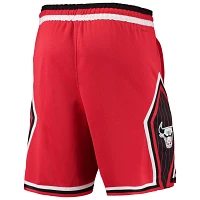 Nike / Chicago Bulls / City Edition Swingman Shorts