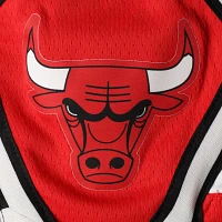 Nike 2019/20 Chicago Bulls Icon Edition Swingman Shorts                                                                         