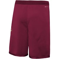 Youth Nike Cleveland Cavaliers Icon Edition Mesh Performance Swingman Shorts