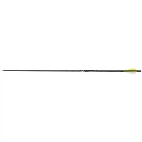 Gold Tip Lightning Youth Carbon Arrow                                                                                           