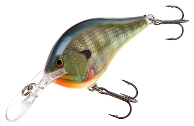 Rapala® DT® 2" Lure