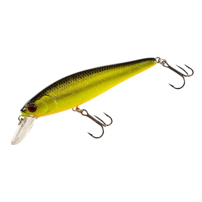 H2O XPRESS™ Floating Jerk Bait                                                                                                