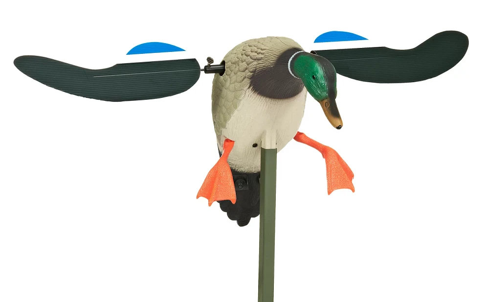 MOJO Outdoors™ Baby MOJO 3-D Drake Decoy                                                                                      