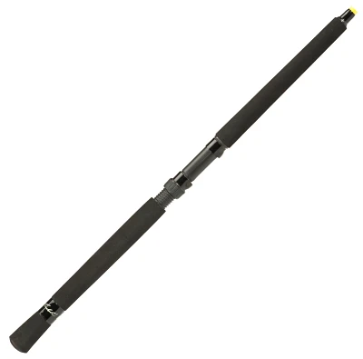 Mr. Crappie® Slab Shaker™ 10' L Freshwater 2-Piece Graphite Rod                                                              