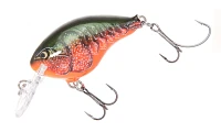 Rapala® DT® Series DT04 Crankbait                                                                                             