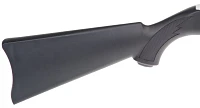 Ruger Takedown .22 LR Rifle                                                                                                     