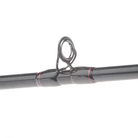 Daiwa Laguna® Freshwater/Saltwater Casting Rod                                                                                 