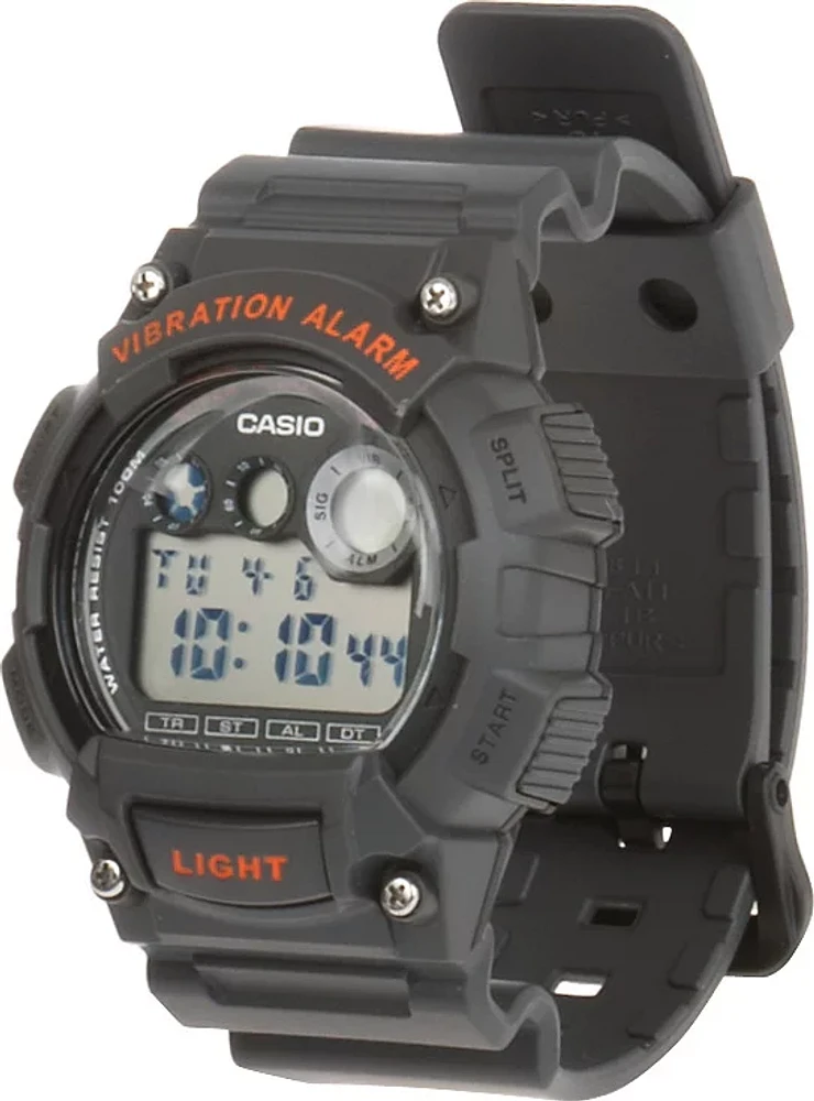 Casio Men's Sport Watch