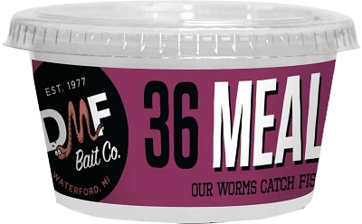 DMF Bait Live Meal Worm 36-Pack                                                                                                 