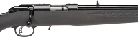 Ruger American Rimfire .22 LR Compact Rifle                                                                                     