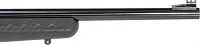 Ruger American Rimfire .22 LR Compact Rifle                                                                                     