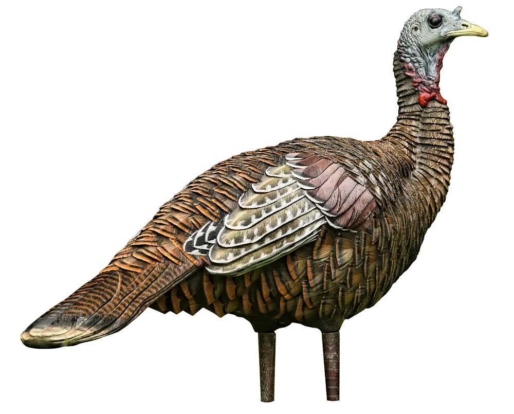 Avian-X LCD Lookout Hen Decoy                                                                                                   