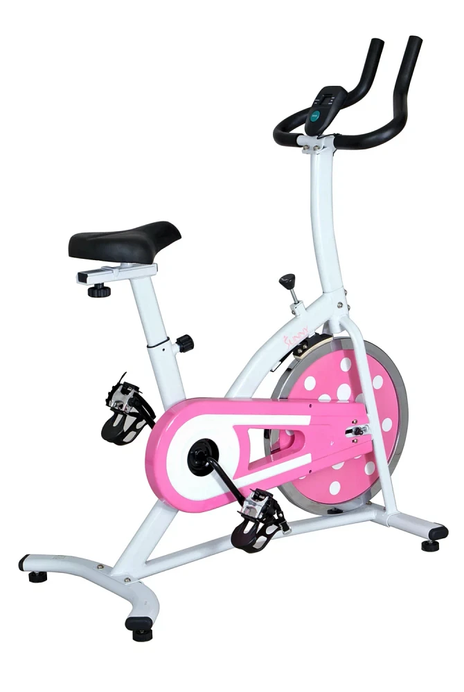 Sunny Health & Fitness P8100 Indoor Cycling Exercise Bike                                                                       