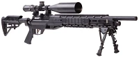 Crosman Armada .22 Caliber Air Rifle with Optics and Bipod                                                                      