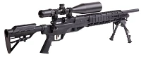 Crosman Armada .22 Caliber Air Rifle with Optics and Bipod                                                                      