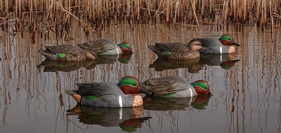 Avian-X Topflight -Winged Teal Decoys Set