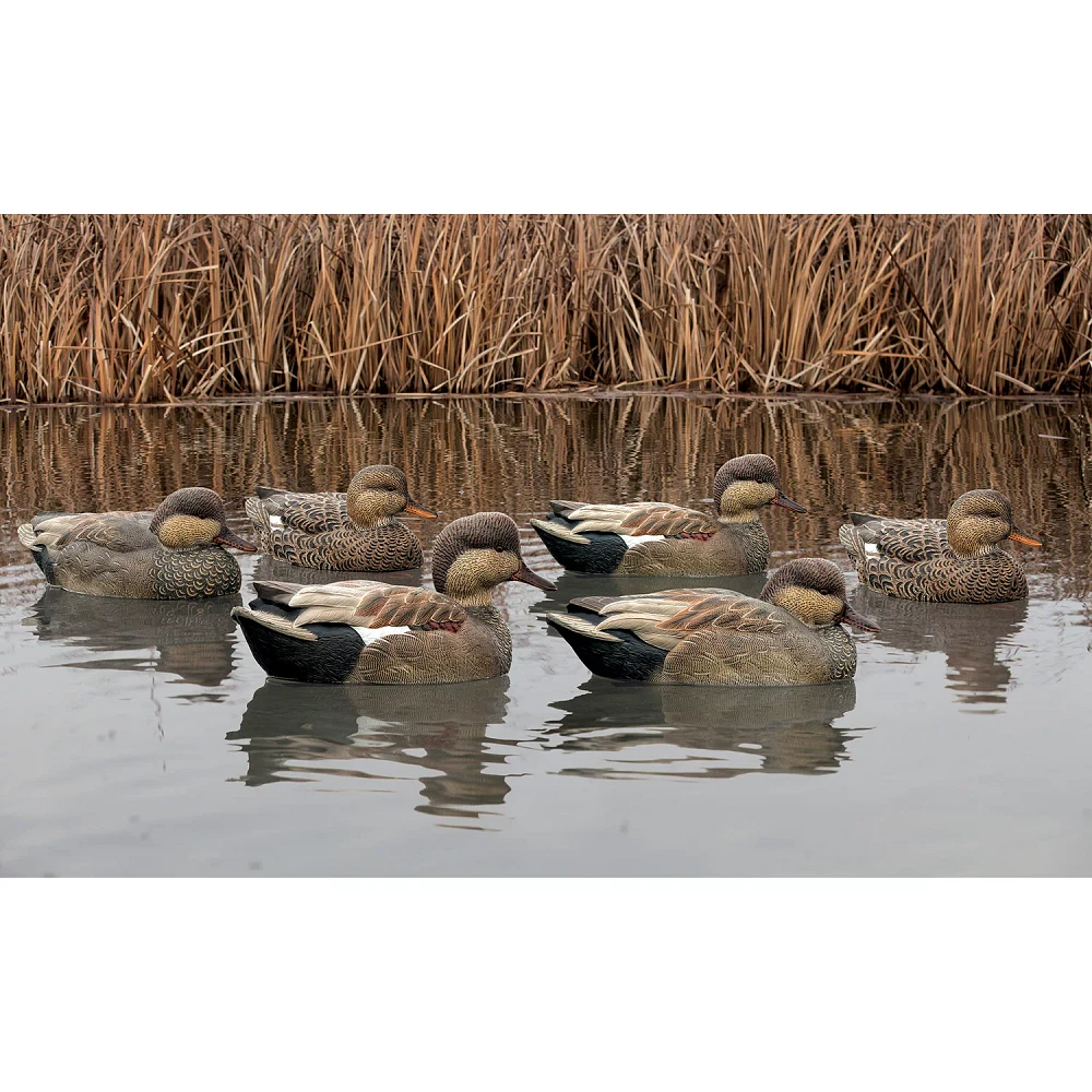 Avian-X Topflight Gadwall Decoys 6-Pack                                                                                         